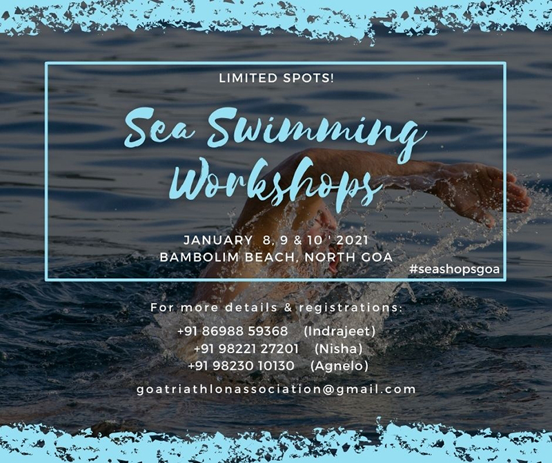Sea Swiming Workshops
