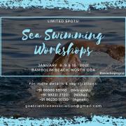 Sea Swiming Workshops